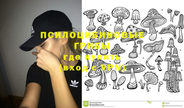 кокс Баксан