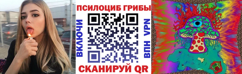 Галлюциногенные грибы Magic Shrooms  где купить   Верея 